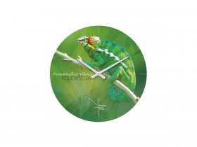 Часы настенные Nicole Time NT503 в Нерюнгри - neryungri.mebel-nsk.ru | фото